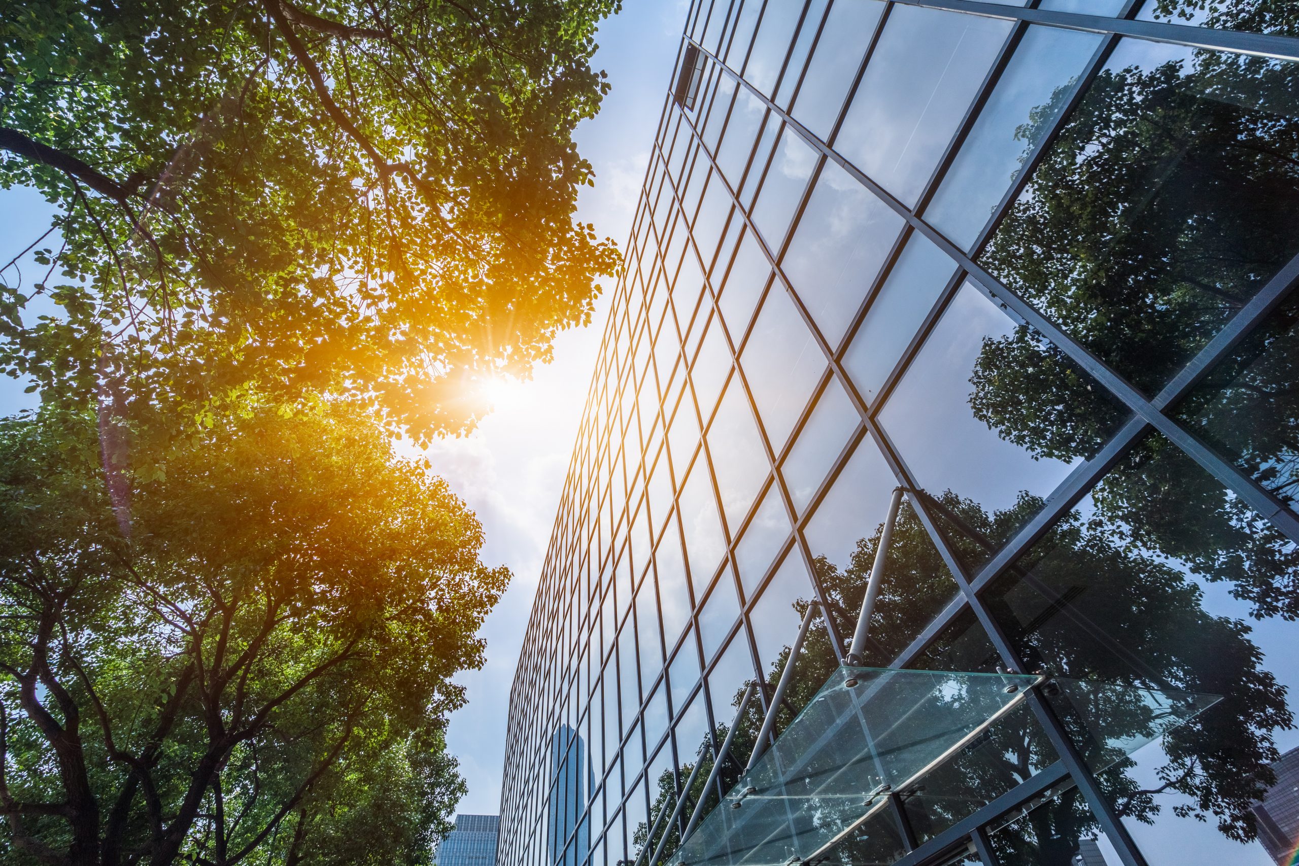 Looking up view of a glass building with trees and sun shining through